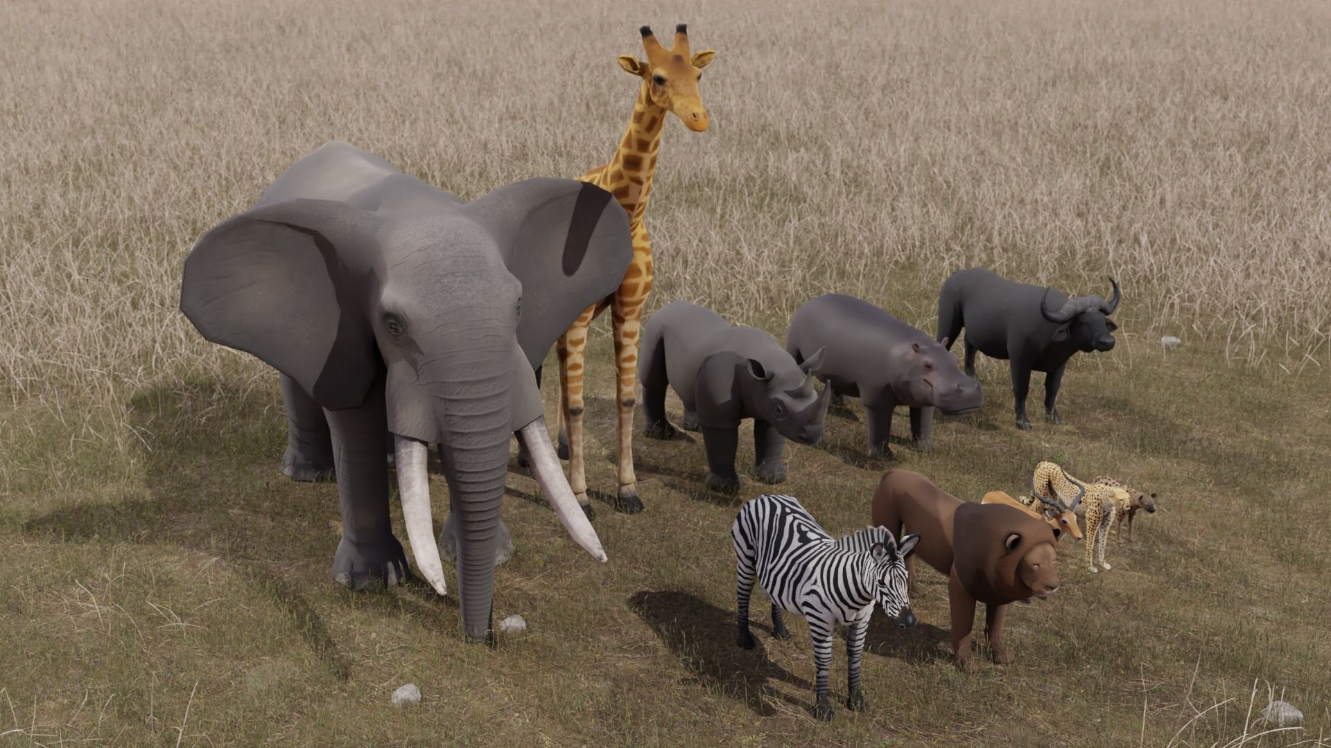 African Animals  3D Model Collection_12