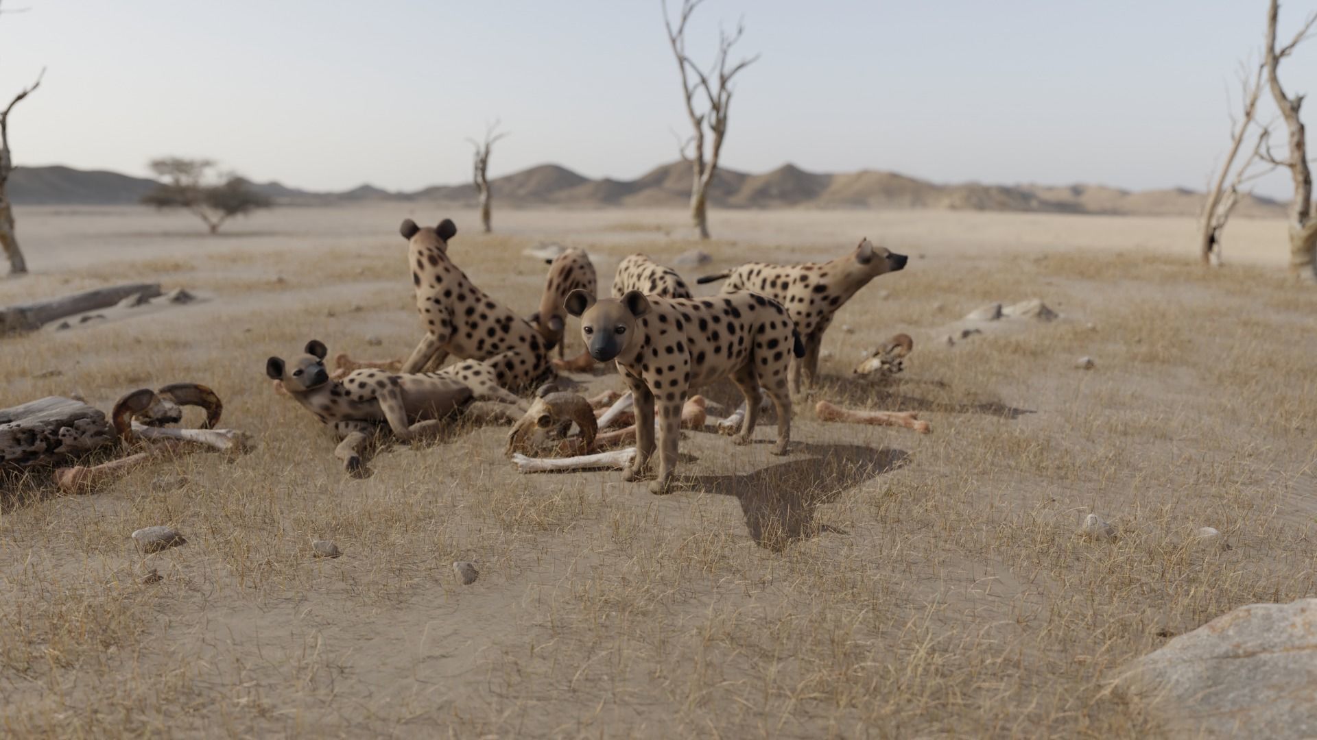 African Animals  3D Model Collection_26