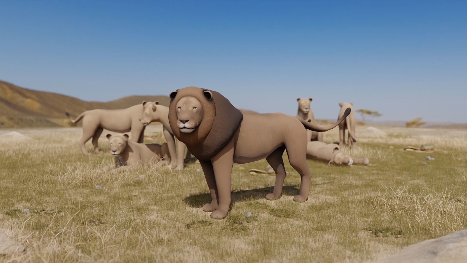 African Animals  3D Model Collection_25