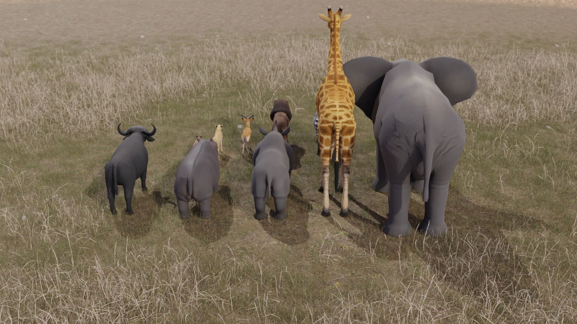 African Animals  3D Model Collection_14