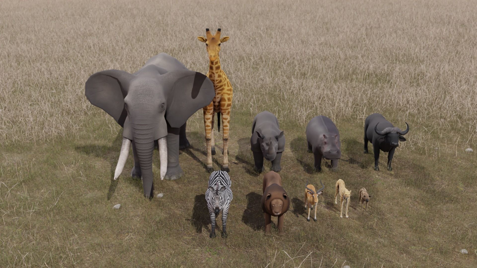 African Animals  3D Model Collection_11