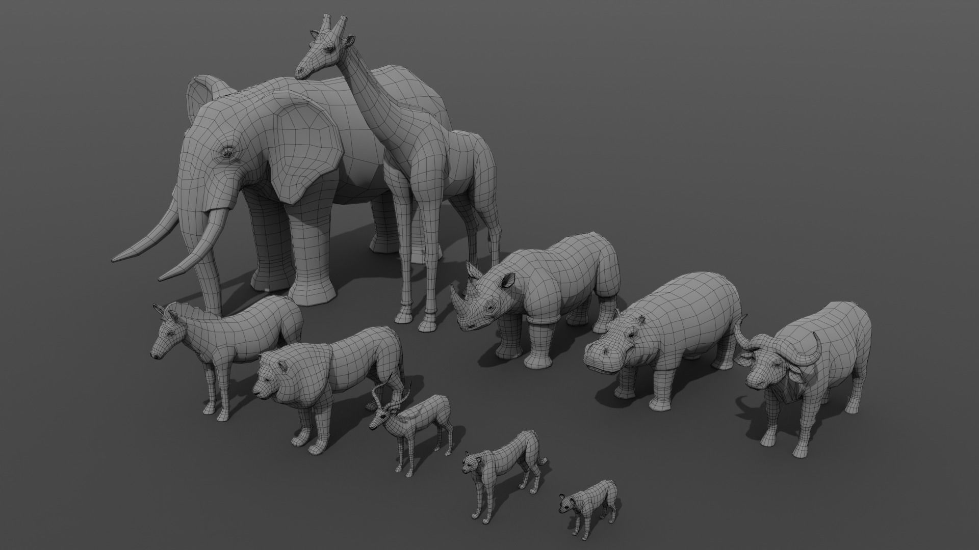 African Animals  3D Model Collection_20