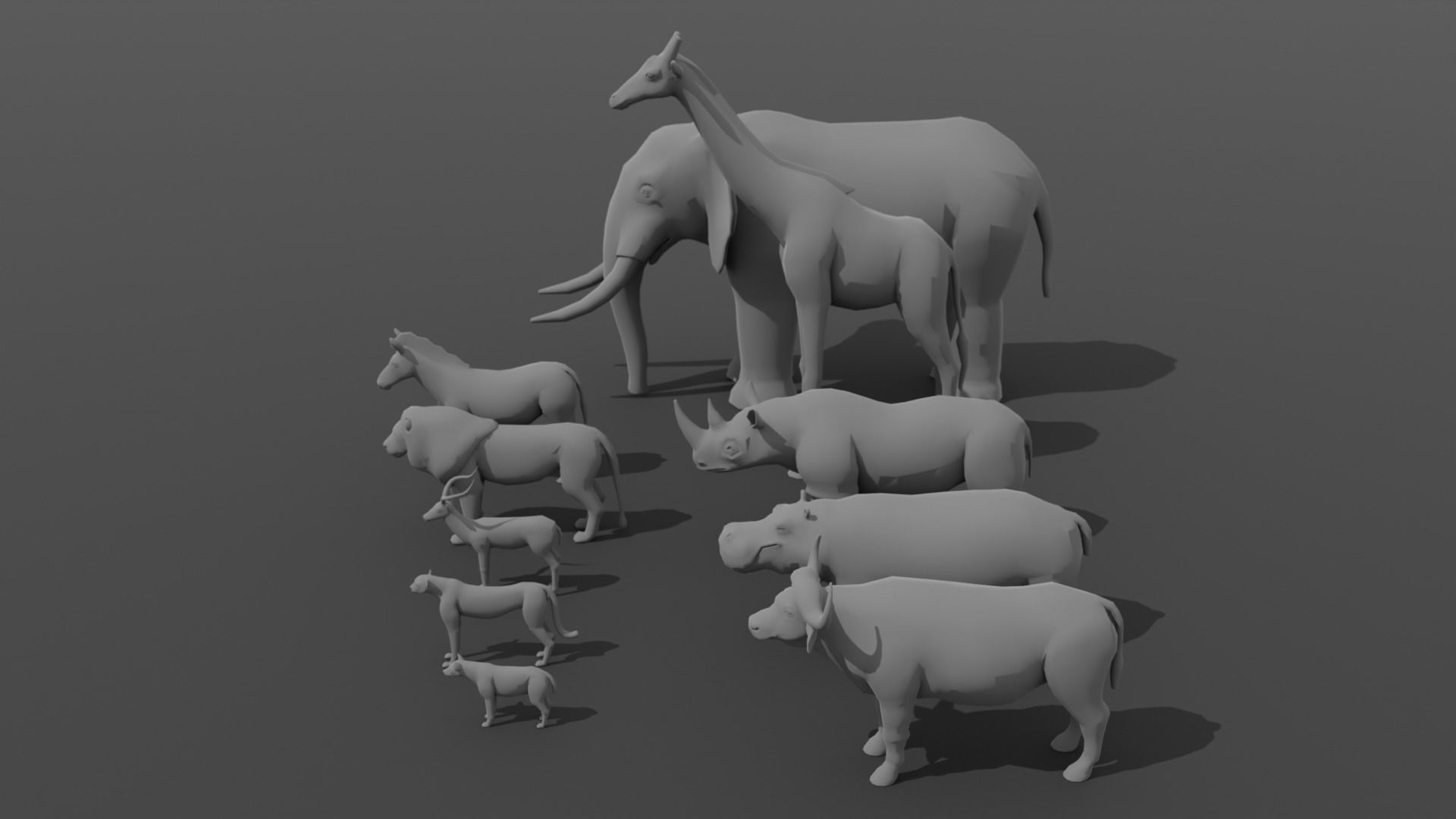 African Animals  3D Model Collection_18