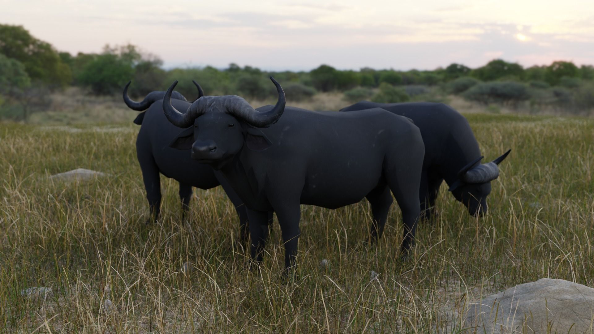 African Animals  3D Model Collection_21