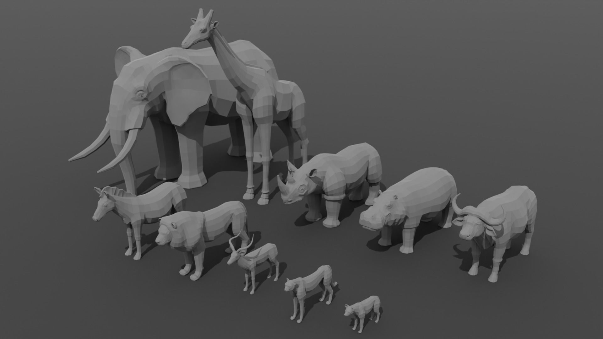 African Animals  3D Model Collection_19
