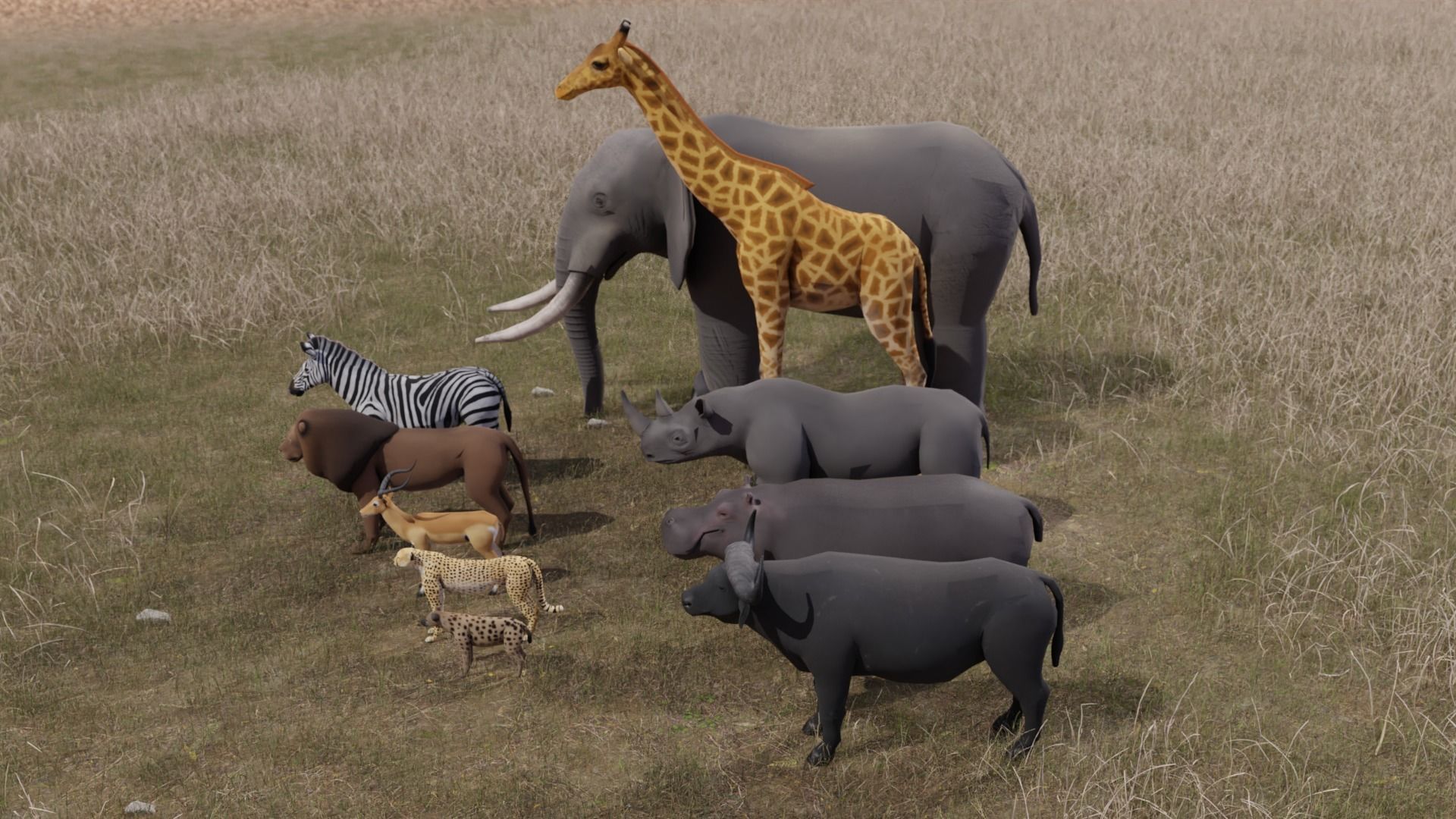 African Animals  3D Model Collection_13