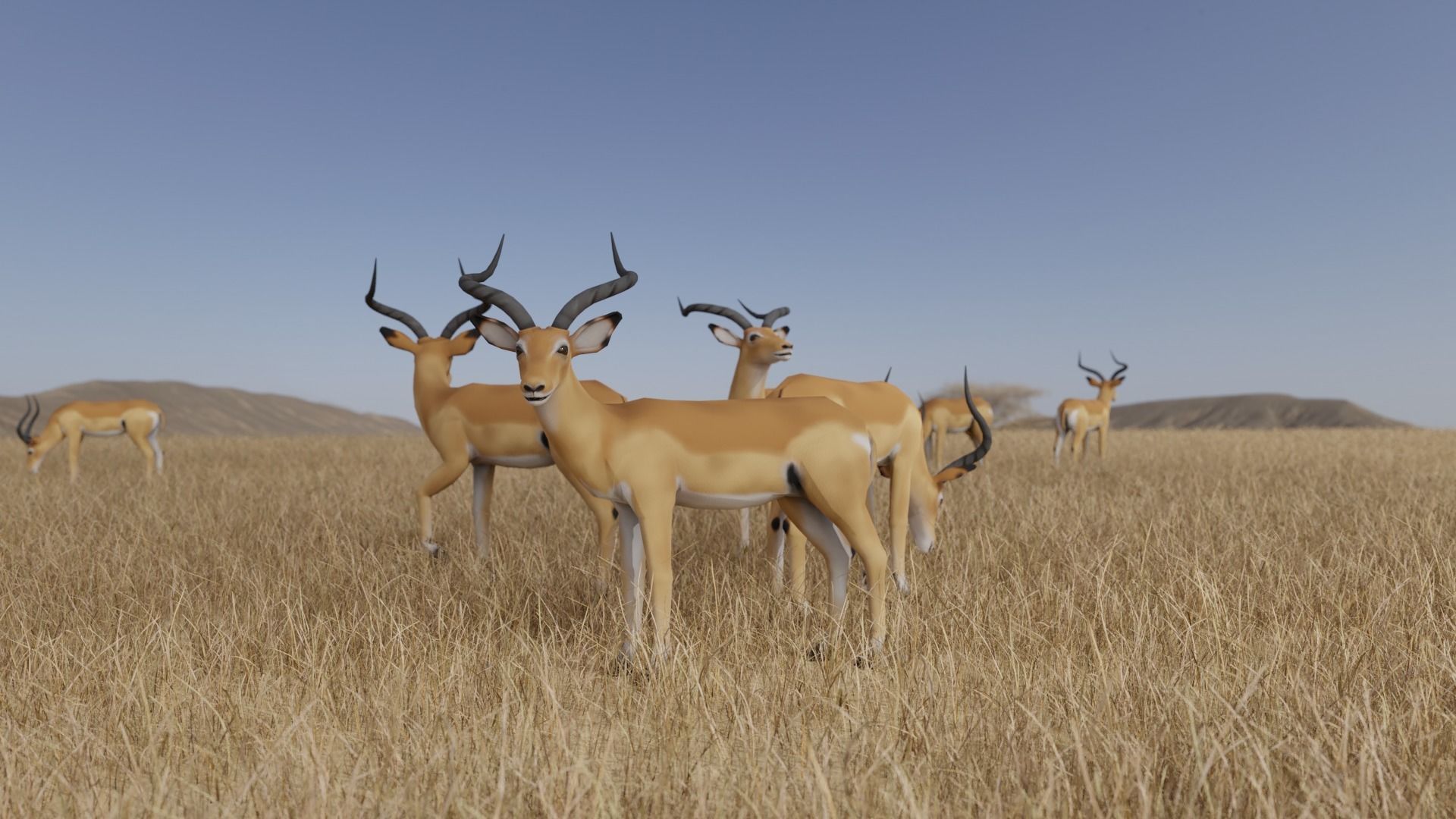 African Animals  3D Model Collection_29
