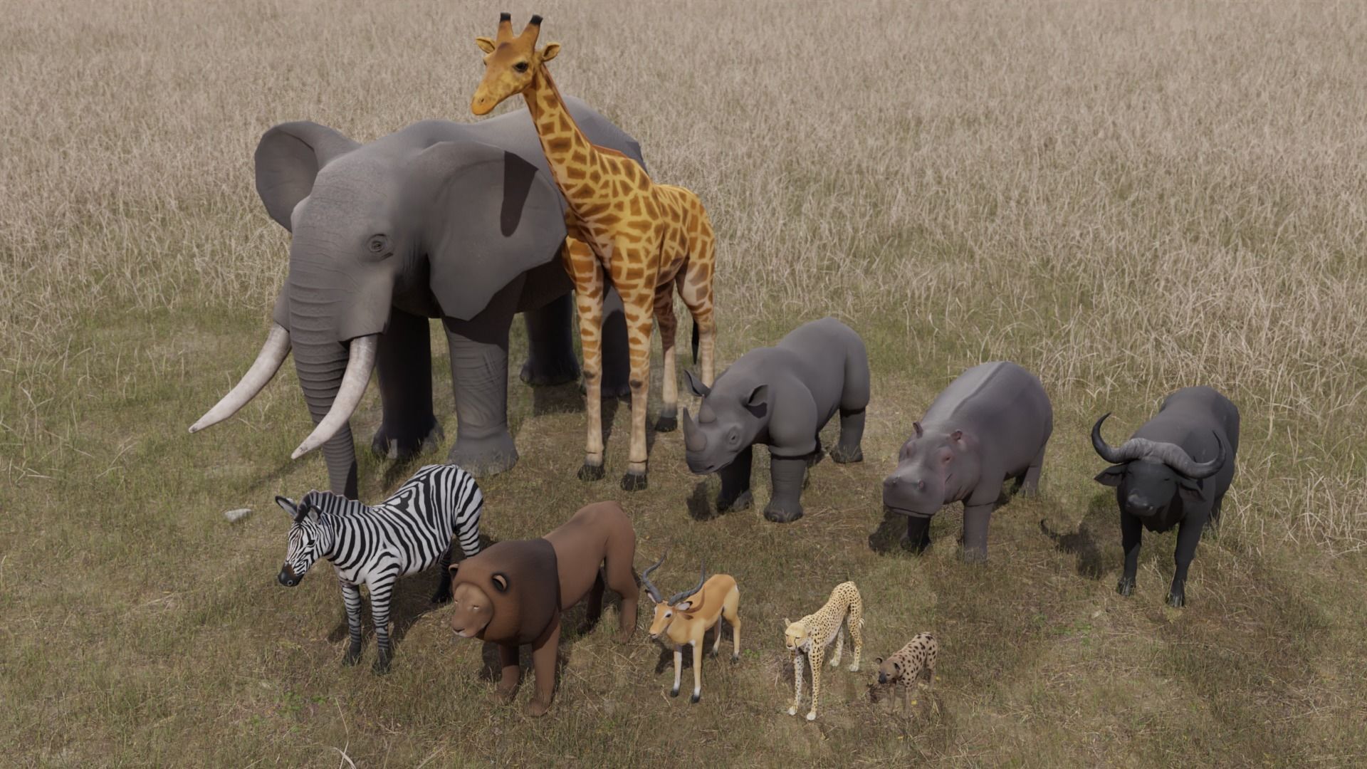 African Animals  3D Model Collection_10