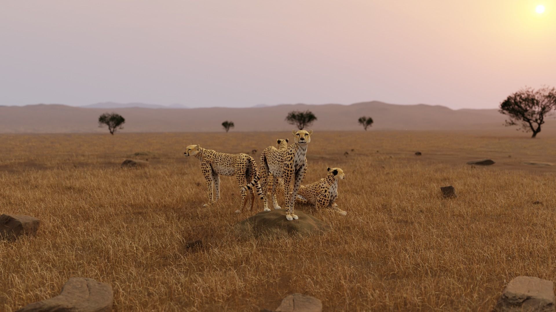 African Animals  3D Model Collection_23