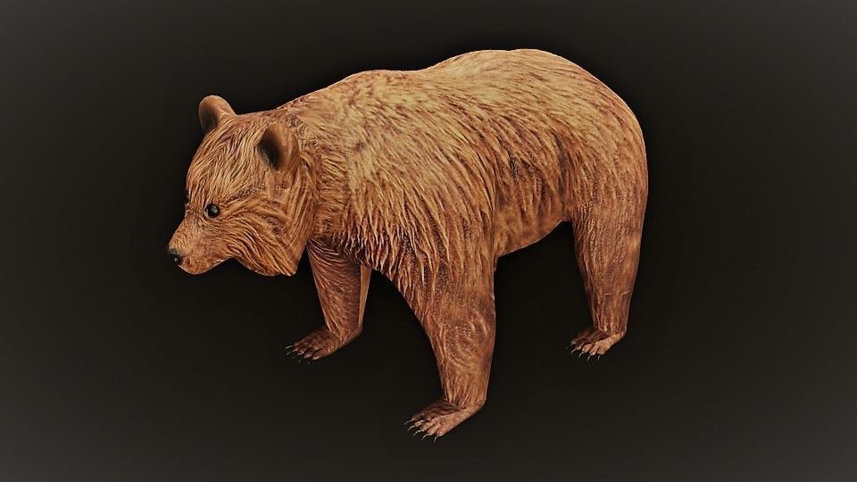 Brown Bear Low-poly 3D model_1