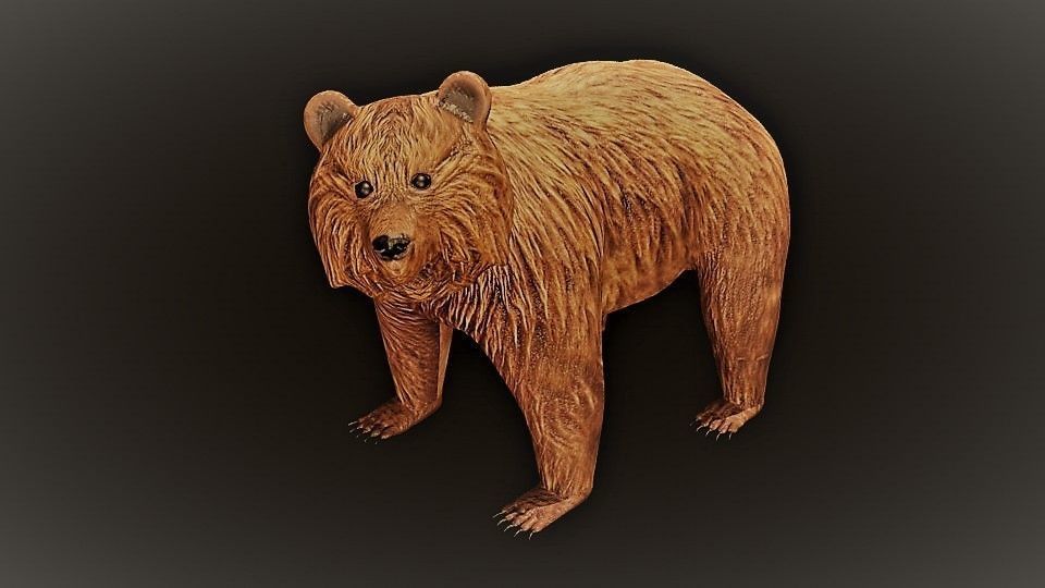 Brown Bear Low-poly 3D model_2