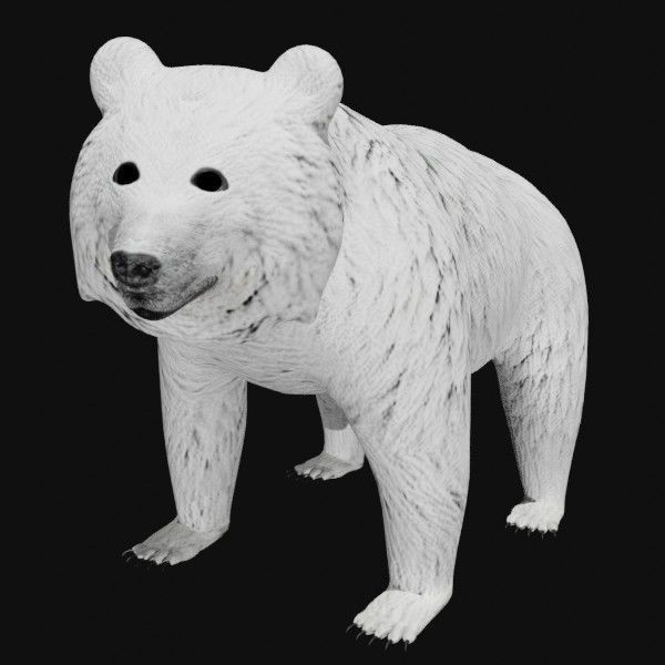 Bear collection _10