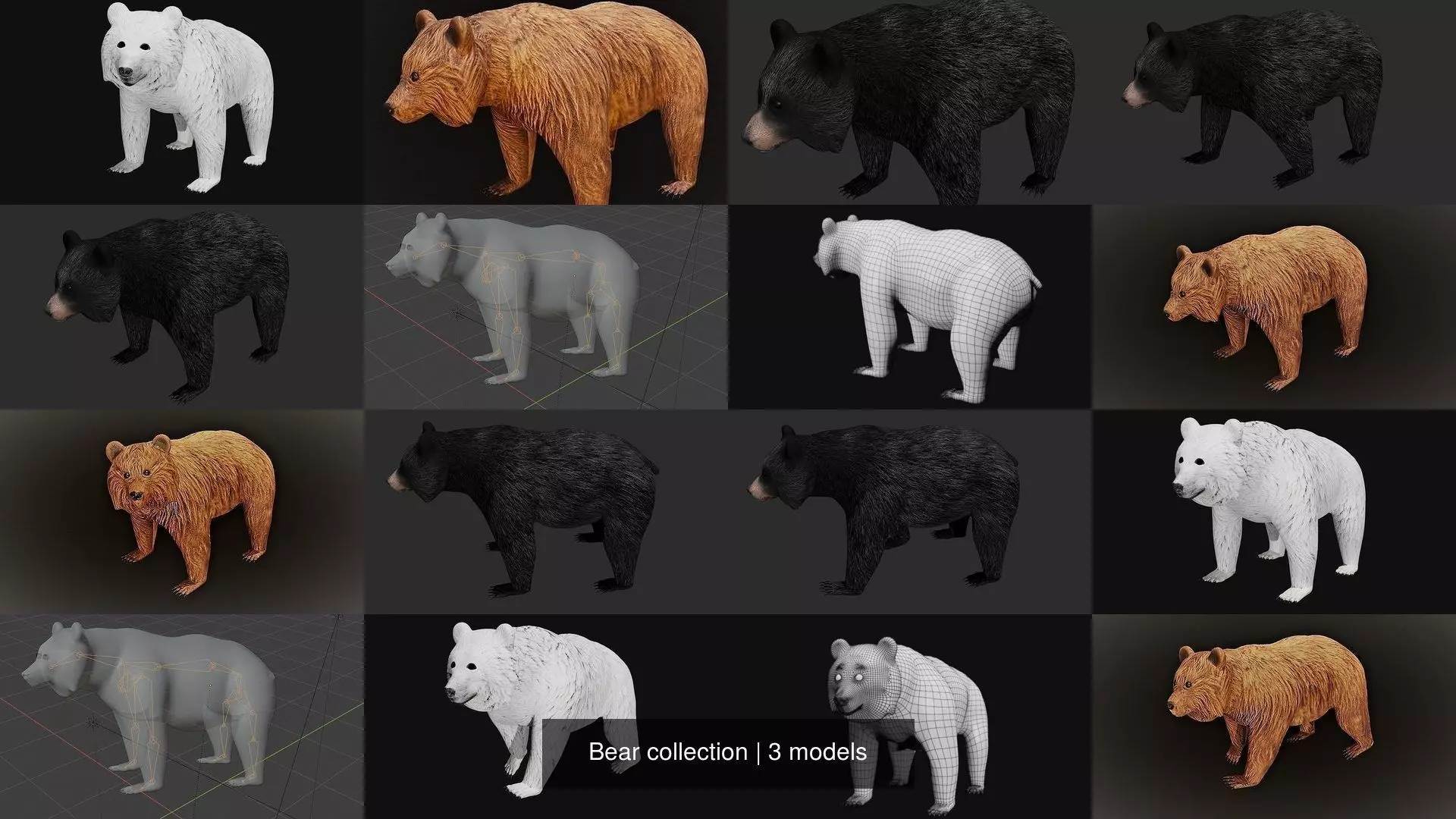 Bear collection _1