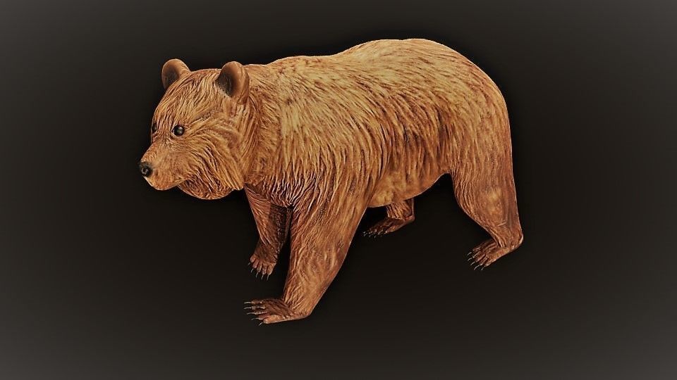 Bear collection _14