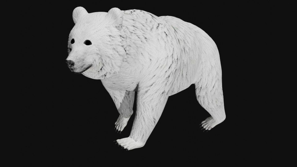 Bear collection _8