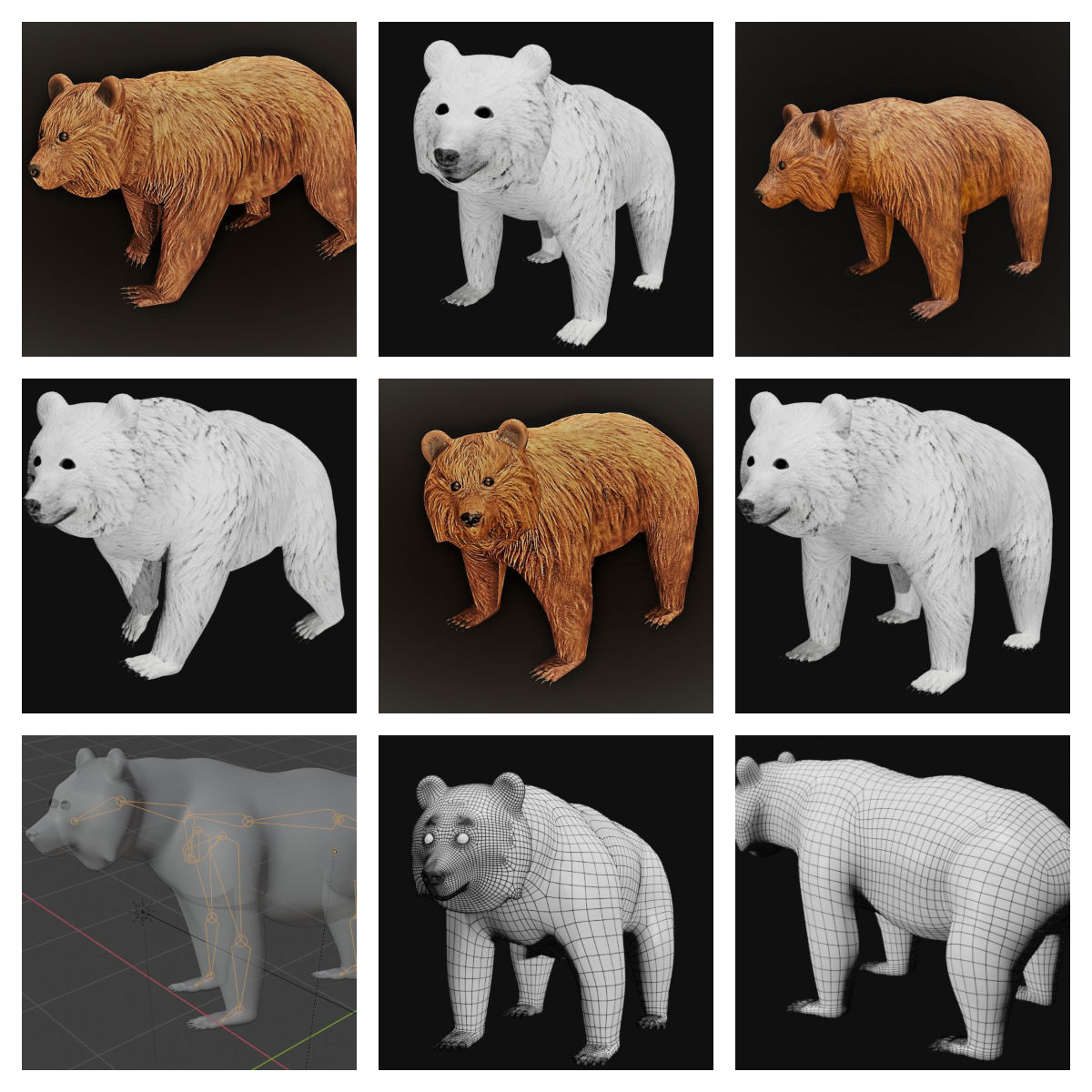 Bear collection _2