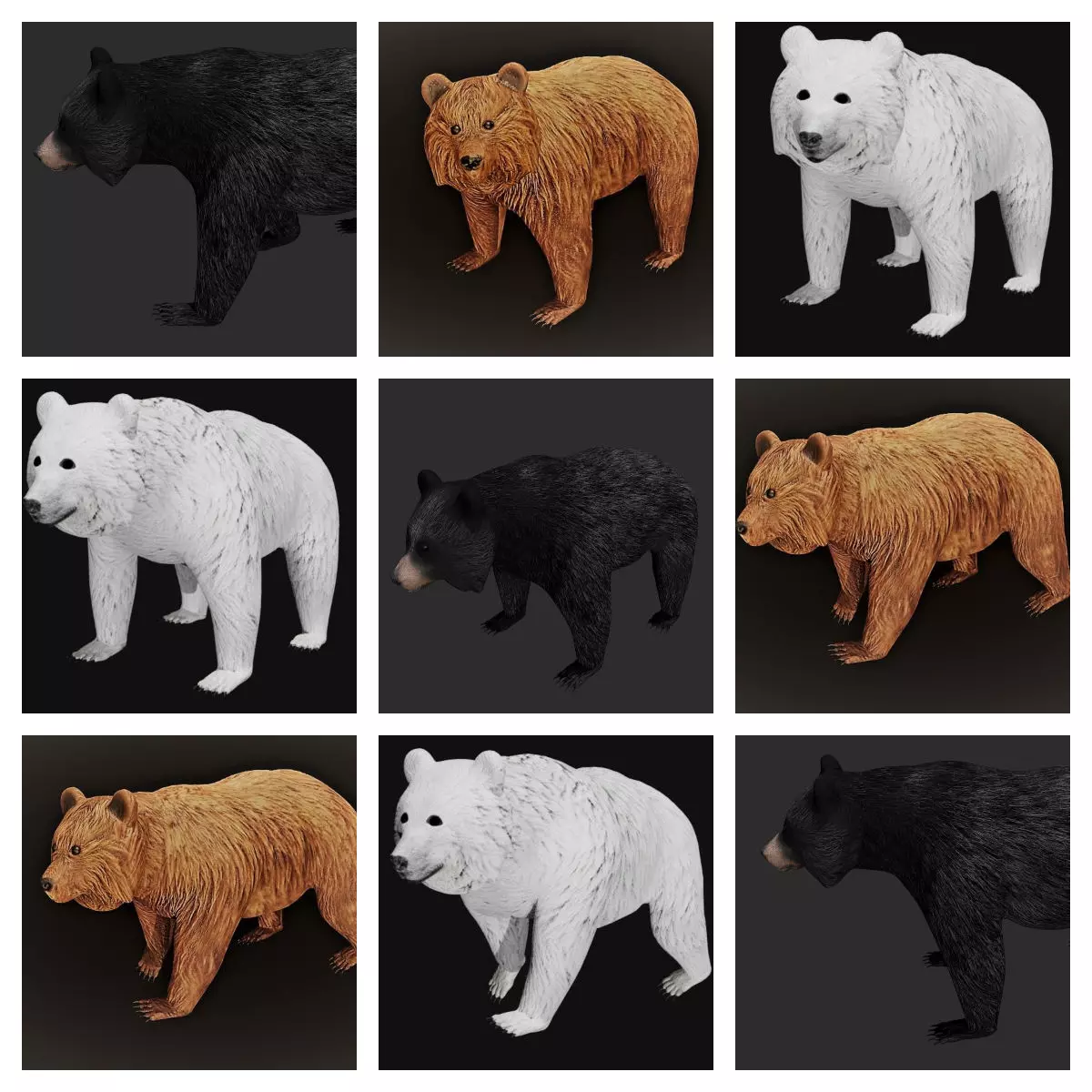 Bear collection _0