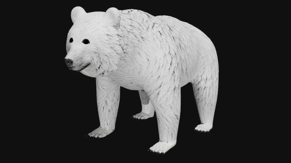 Bear collection _9