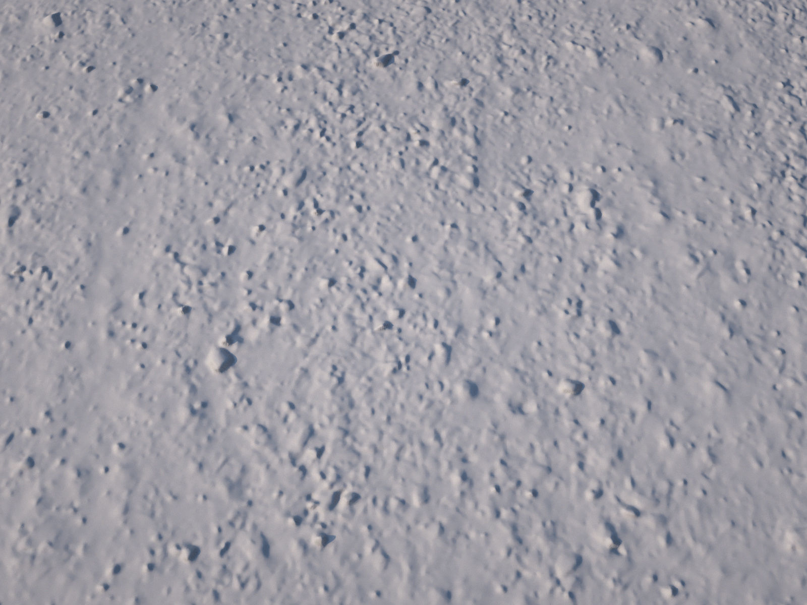 Gravel Road 3D Scan Low-poly 3D model_3