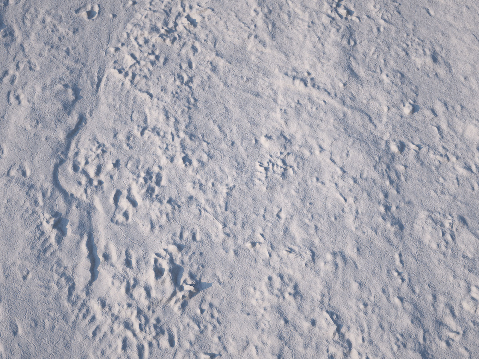 Dirt Road 3D Scan Low-poly 3D model_3