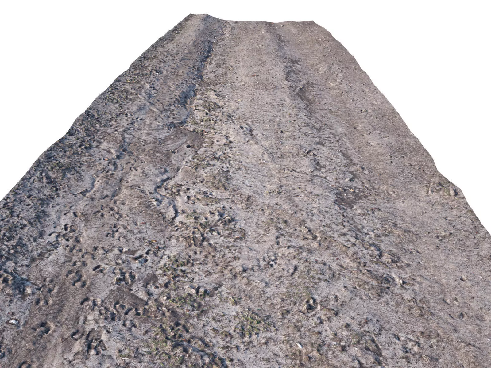 Dirt Road 3D Scan Low-poly 3D model_0