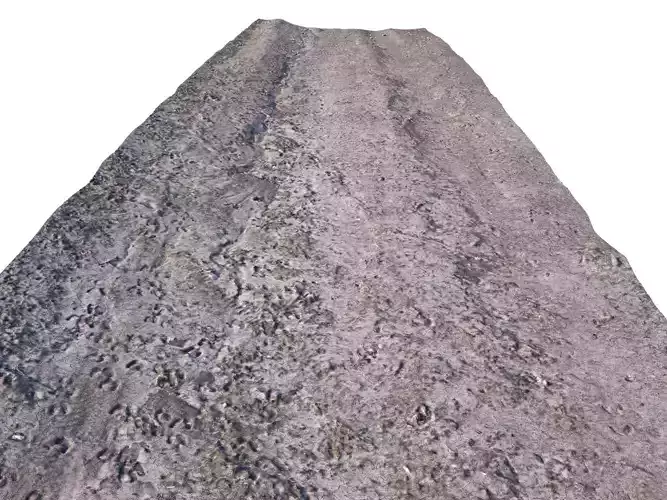Dirt Road 3D Scan Low-poly 3D model