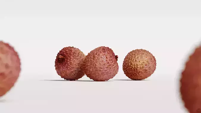 Lychee 3D model