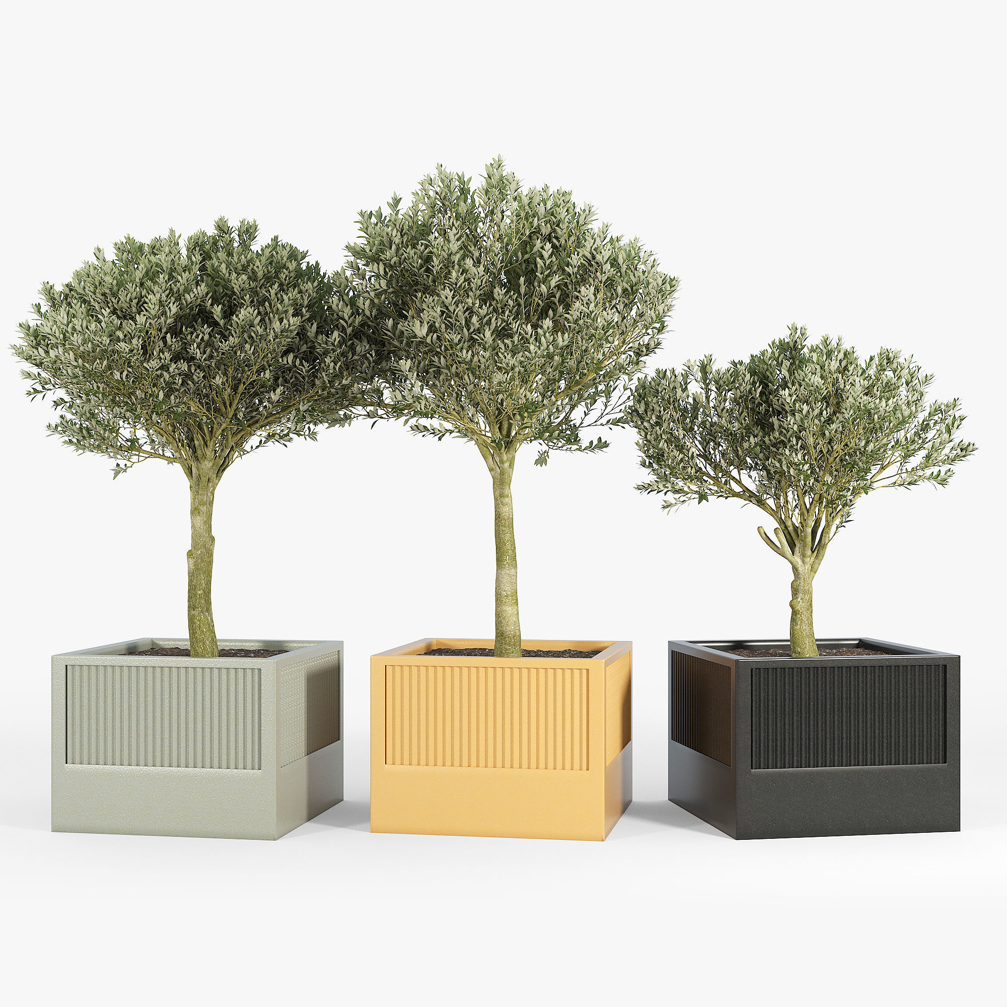 ICARIA Olea 3D model_2