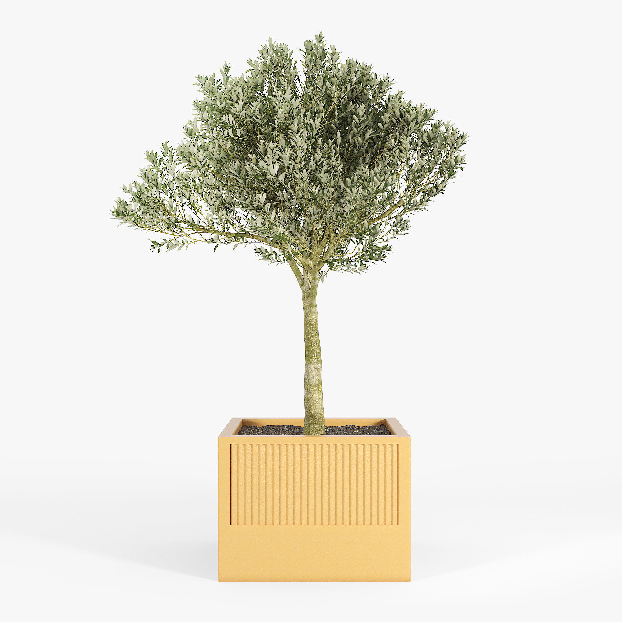 ICARIA Olea 3D model_3