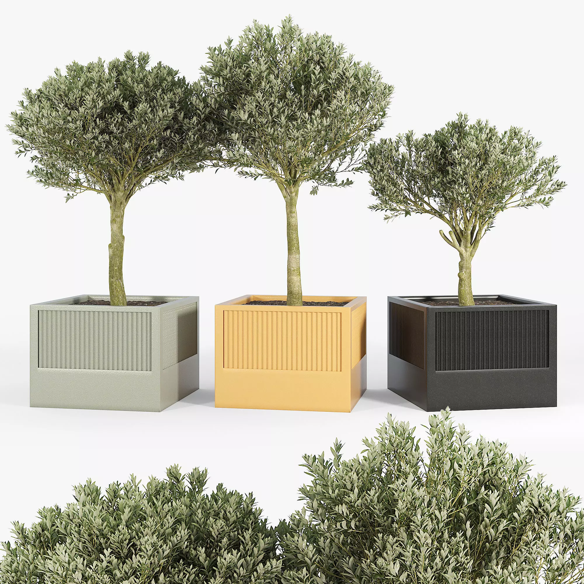 ICARIA Olea 3D model_0