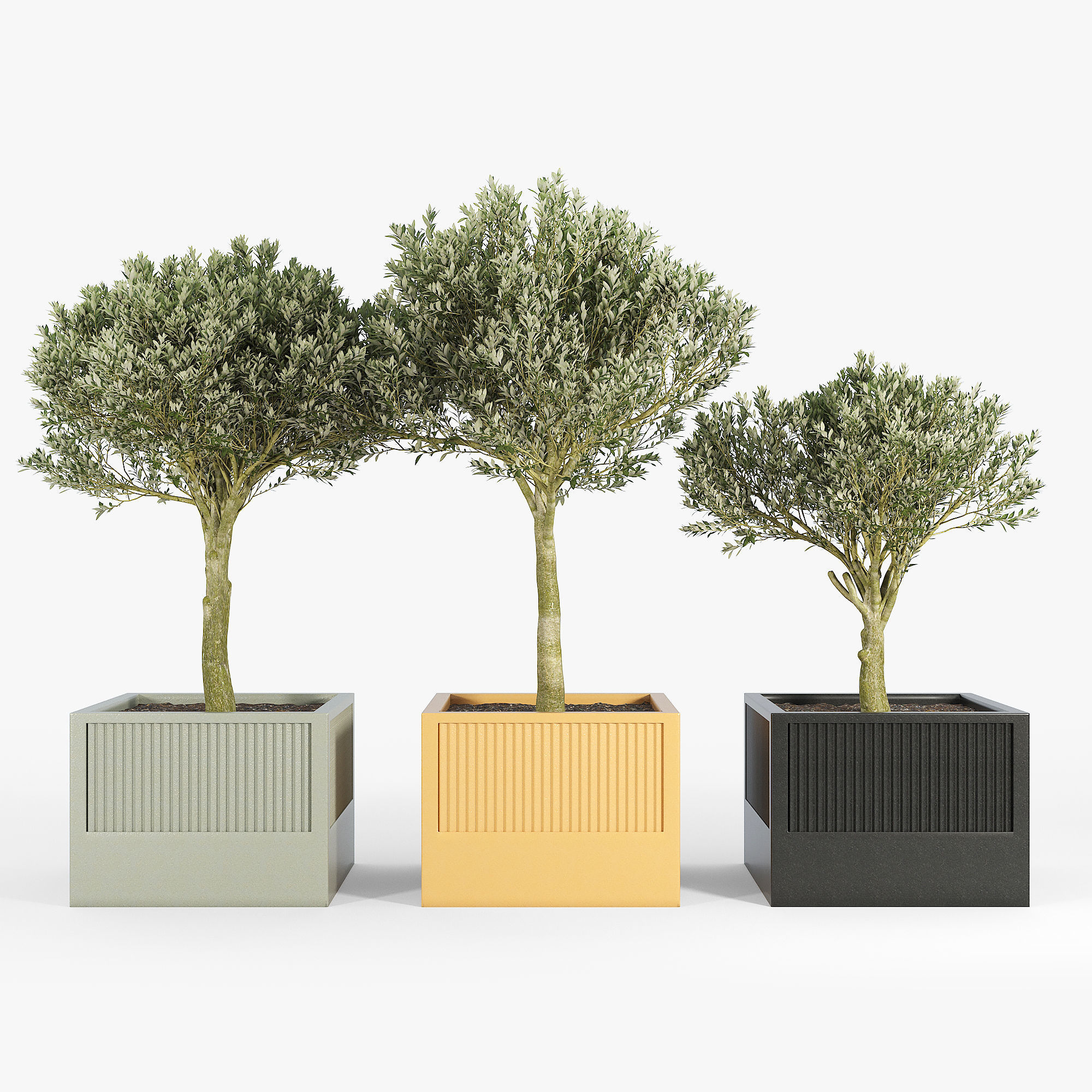 ICARIA Olea 3D model_1