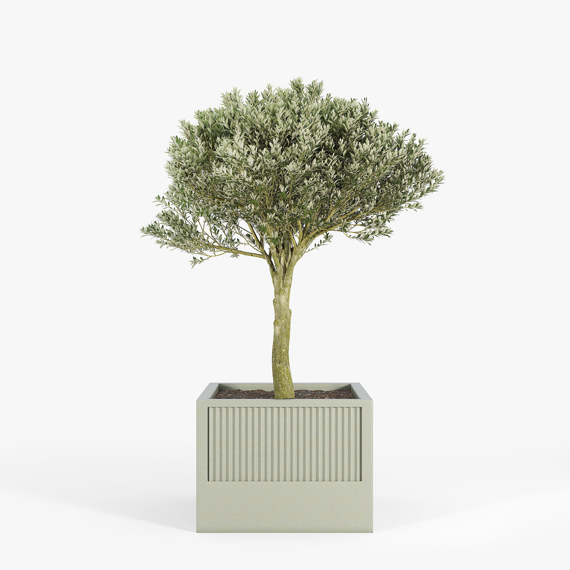 ICARIA Olea 3D model_4