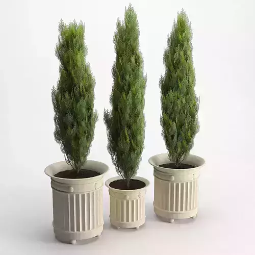 prescott planter white cedar