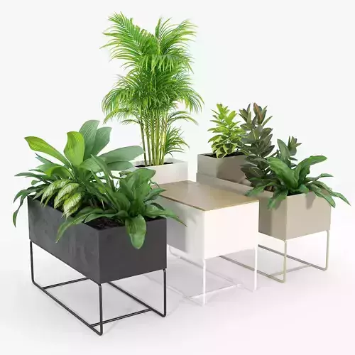 Plant Box - Large