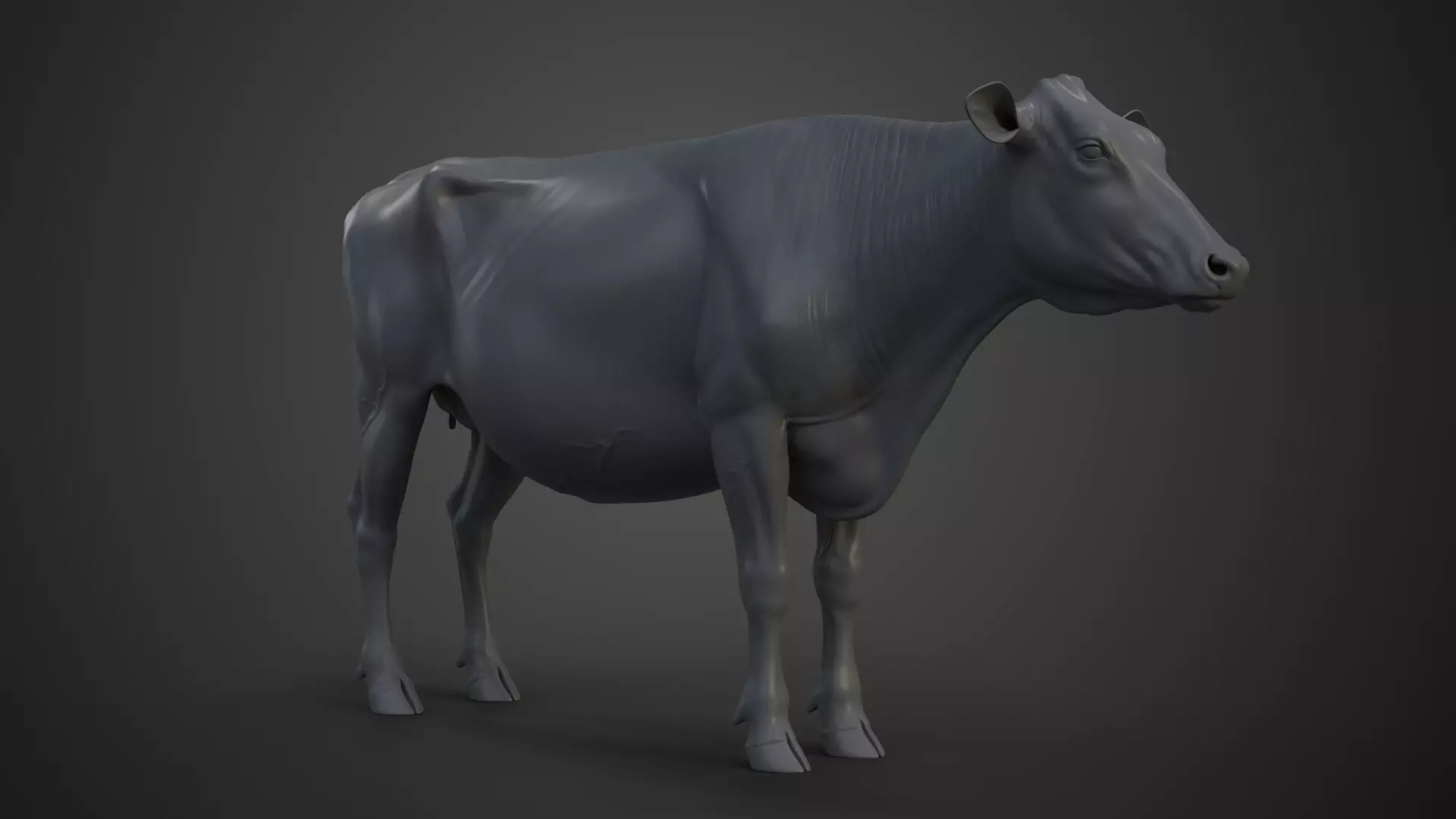 Holstein Female Model Low-poly 3D model