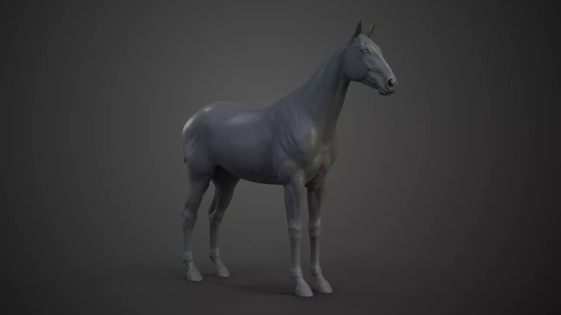 Horse Model 3D model_0