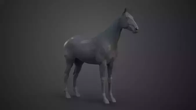 Horse Model