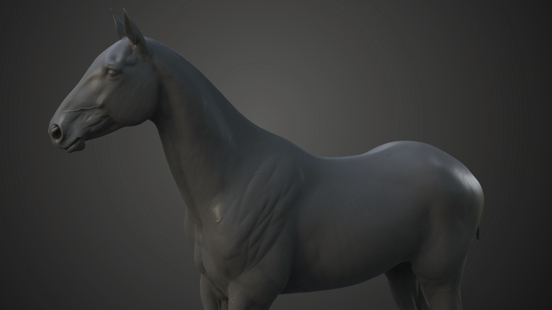 Horse Model 3D model_4