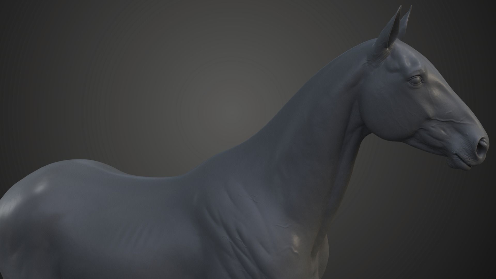 Horse Model 3D model_5