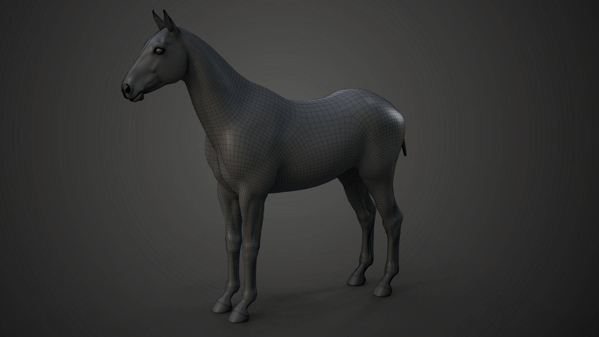 Horse Model 3D model_8