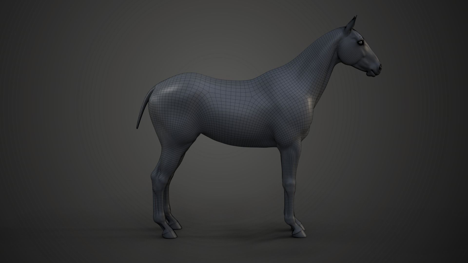 Horse Model 3D model_7
