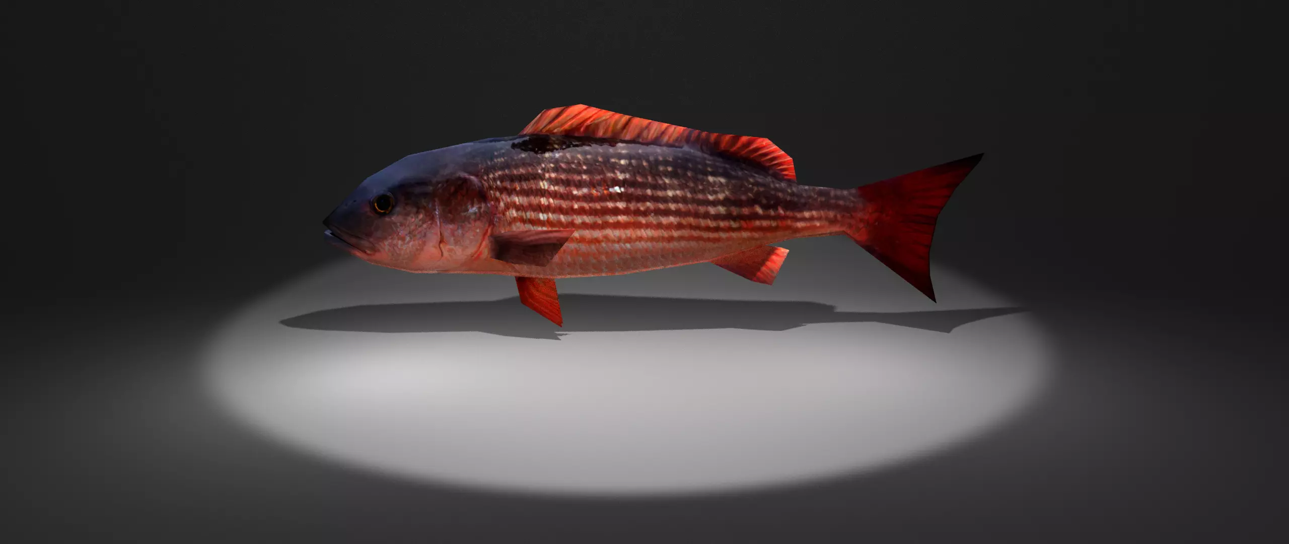 Red Snapper Low-poly 3D model