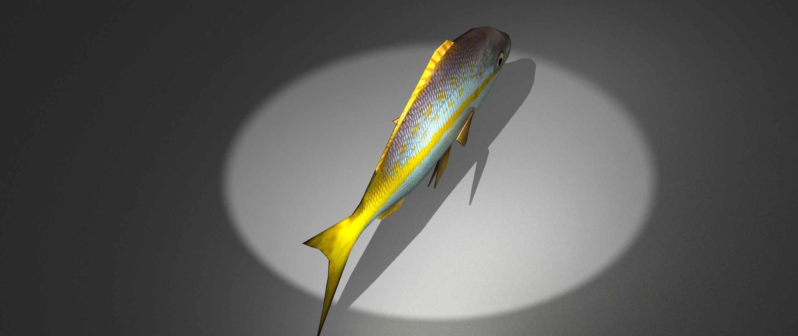 Yellowtail Snapper Low-poly 3D model_3