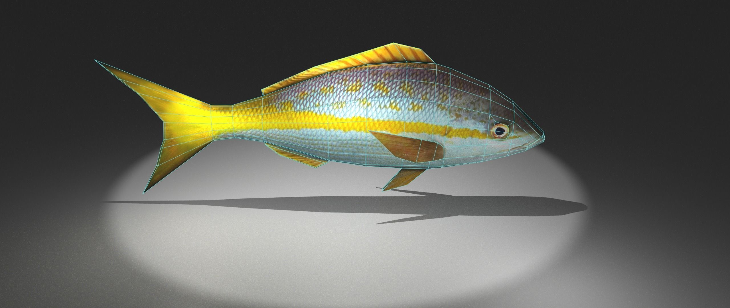 Yellowtail Snapper Low-poly 3D model_1