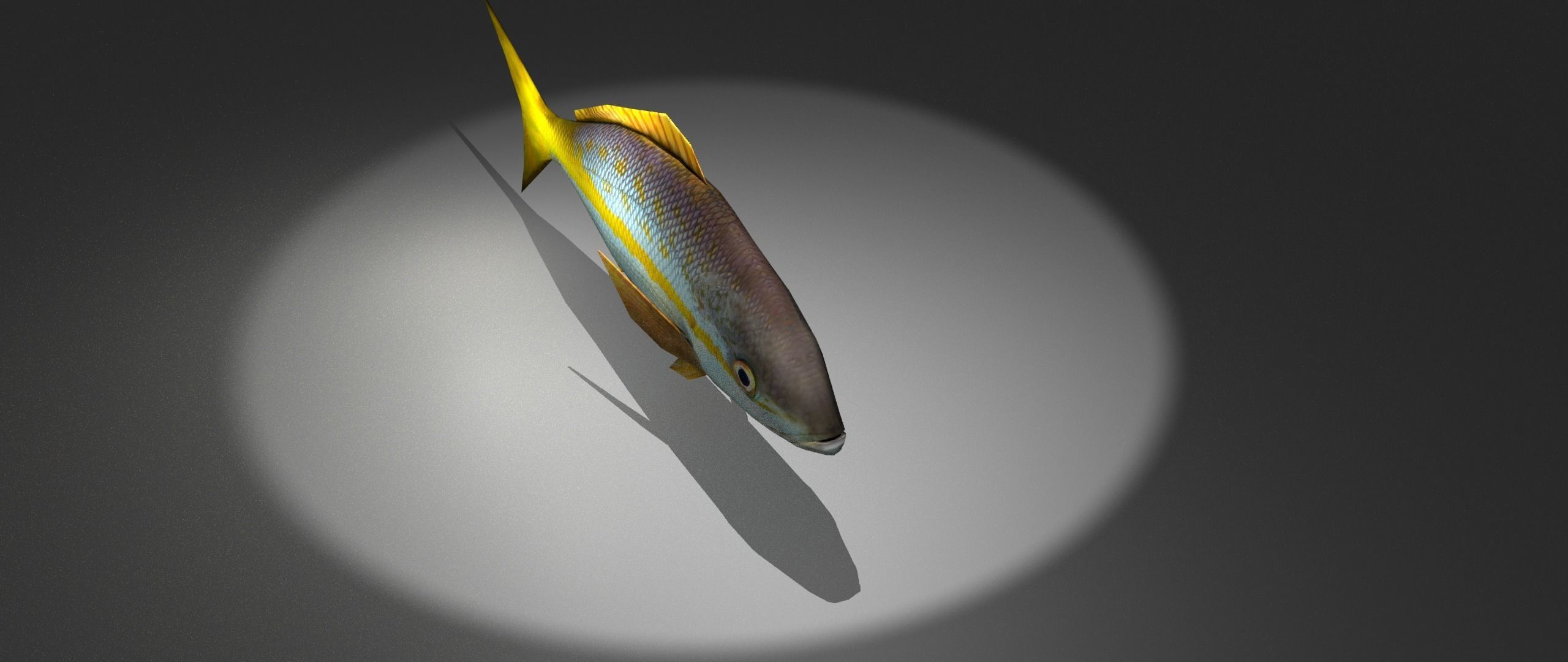 Yellowtail Snapper Low-poly 3D model_2