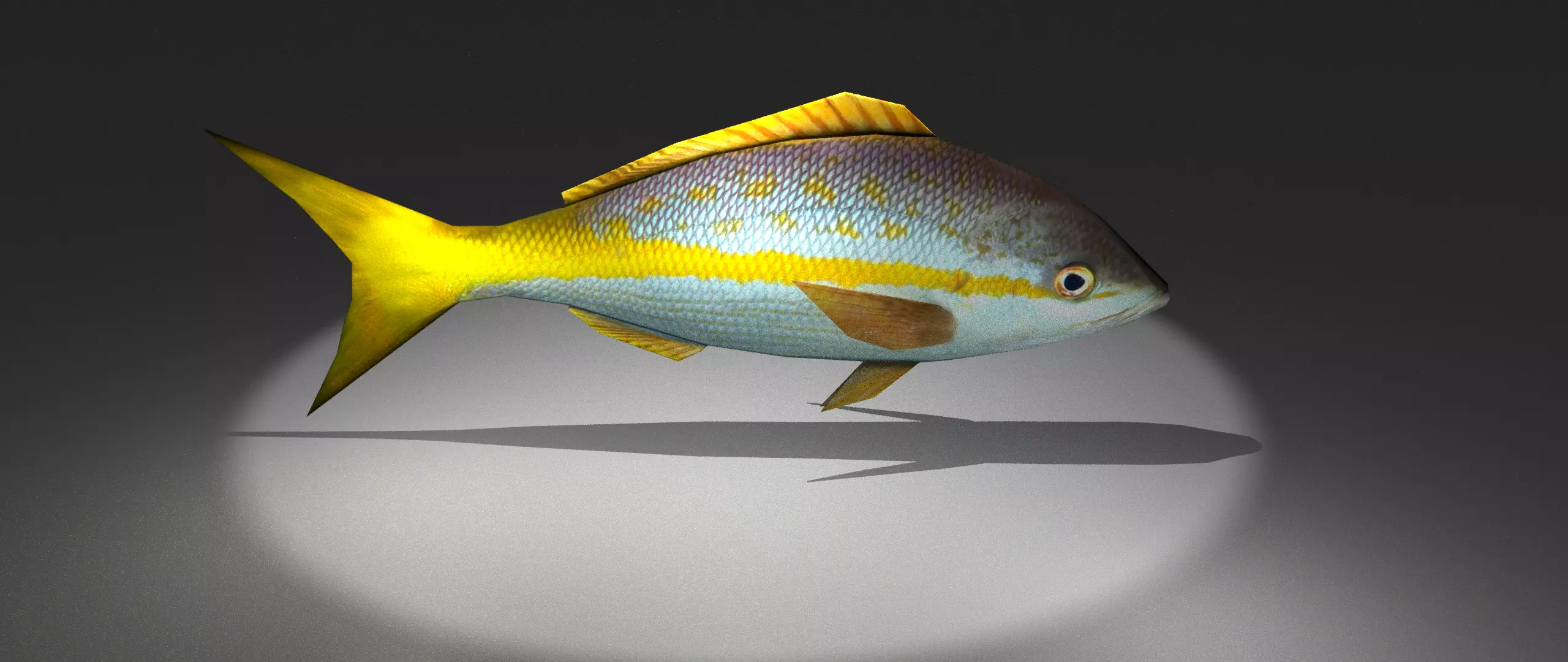 Yellowtail Snapper Low-poly 3D model_0