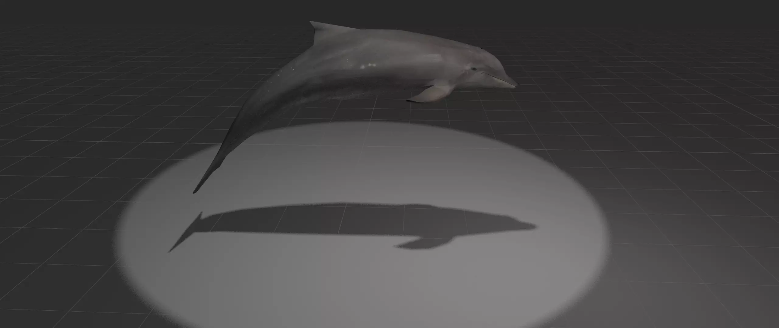 Dolphin with light shining Low-poly 3D model