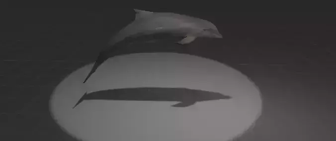 Dolphin with light shining
