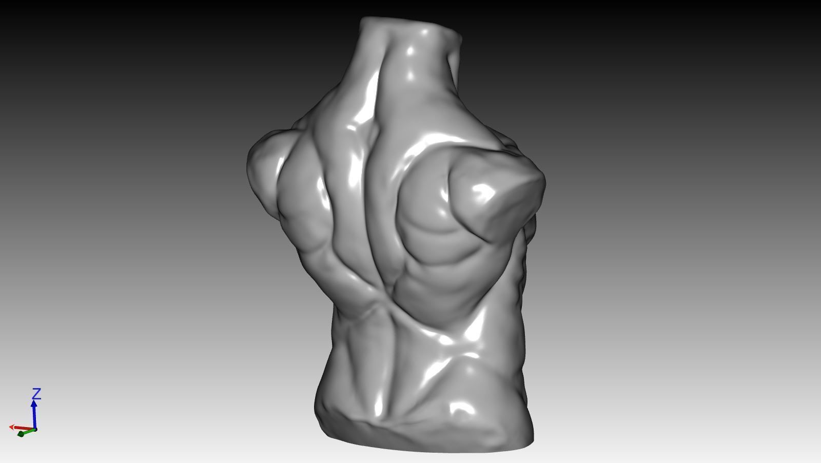 Bust - MaleTorso 3D print model_2