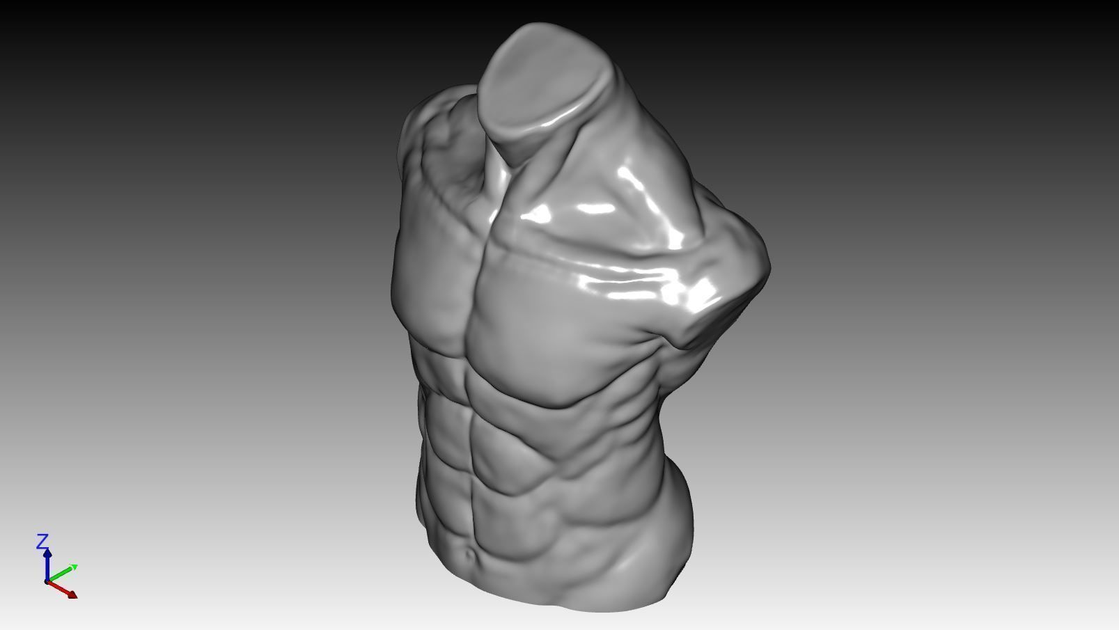 Bust - MaleTorso 3D print model_1
